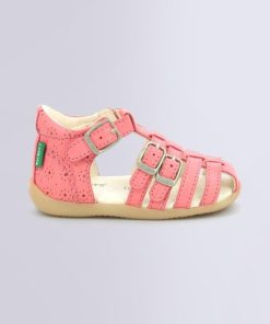 Ordercraze.shop98b19e2627 2