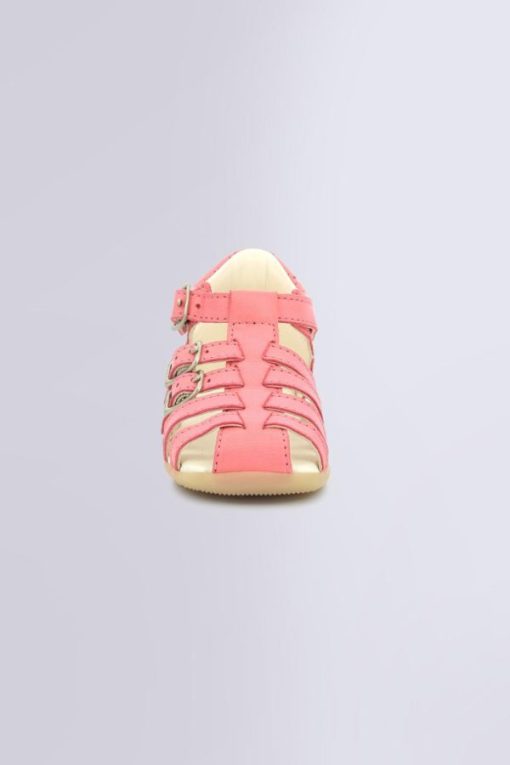 Ordercraze.shop98b19e2627 4