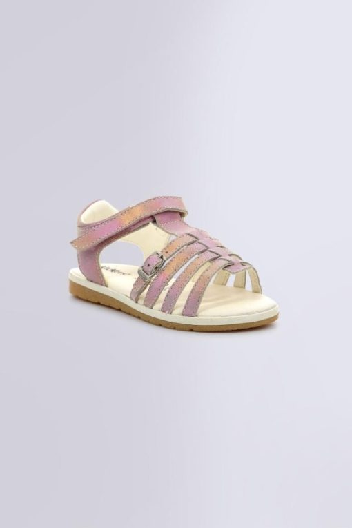 Ordercraze.shop9991a4ef1d 1