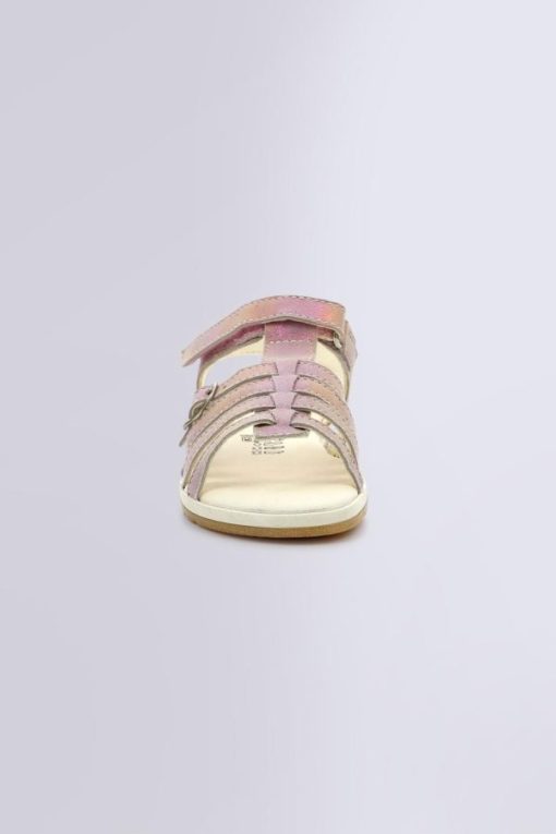 Ordercraze.shop9991a4ef1d 4