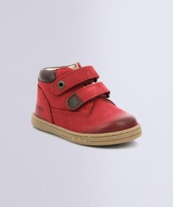 Ordercraze.shop9b48847864 1
