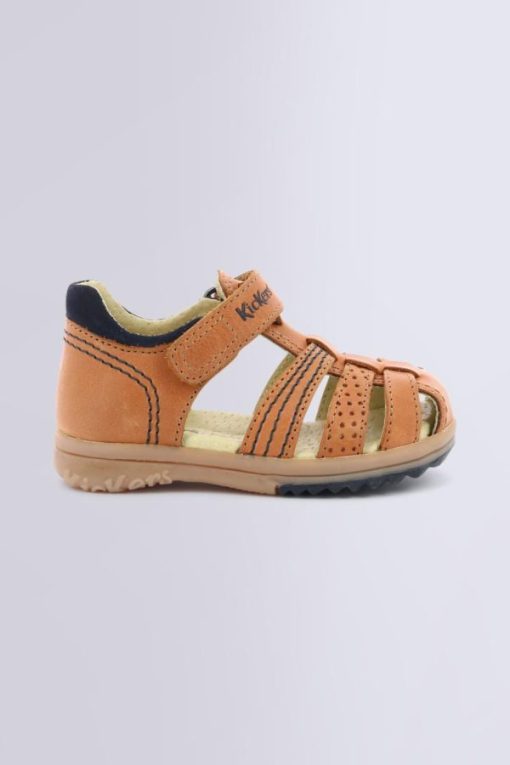 Ordercraze.shop9c969d5cc0 2