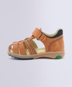 Ordercraze.shop9c969d5cc0 3