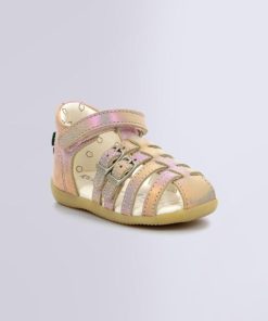 Ordercraze.shop9d4e19e924 1