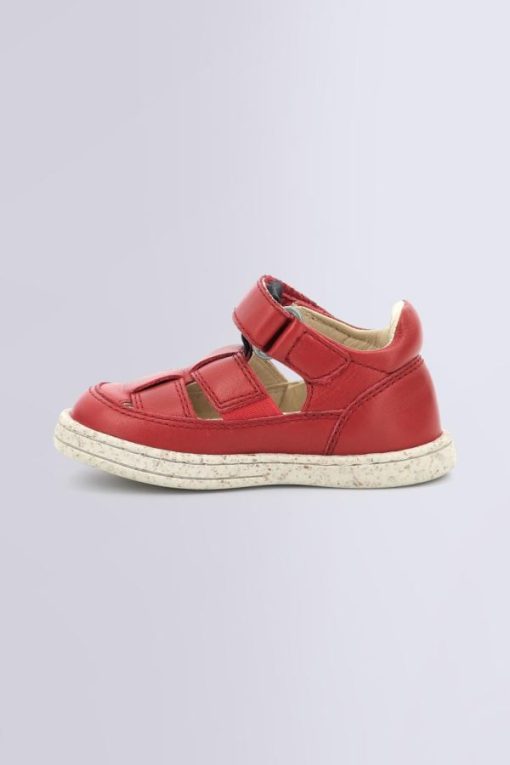 Ordercraze.shop9d84cd4a6c 3