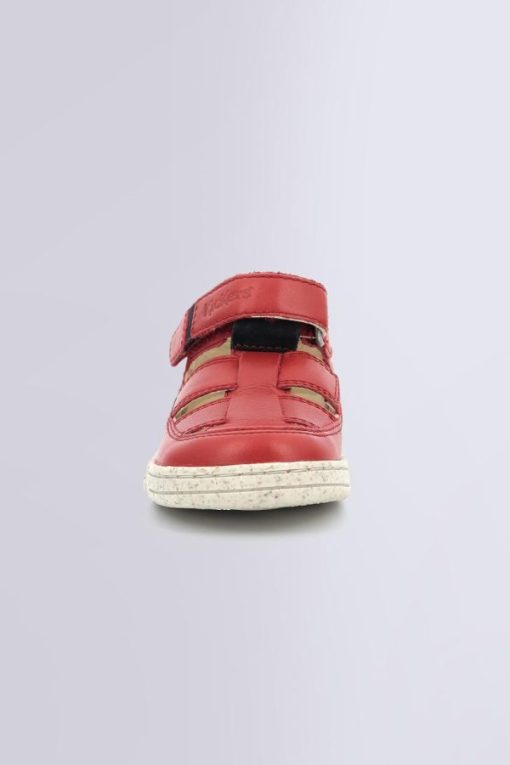 Ordercraze.shop9d84cd4a6c 4