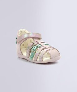 Ordercraze.shopa08b4f5d98 1