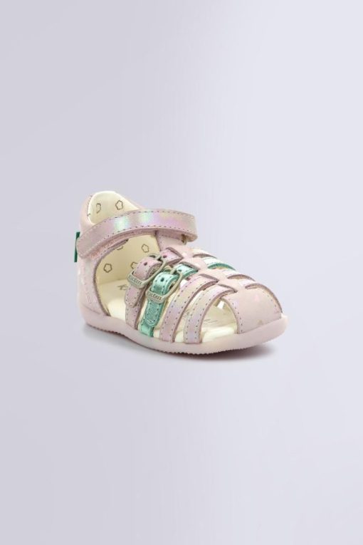 Ordercraze.shopa08b4f5d98 1
