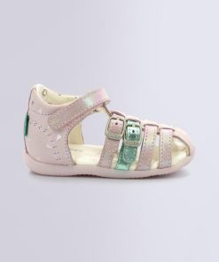 Ordercraze.shopa08b4f5d98 2