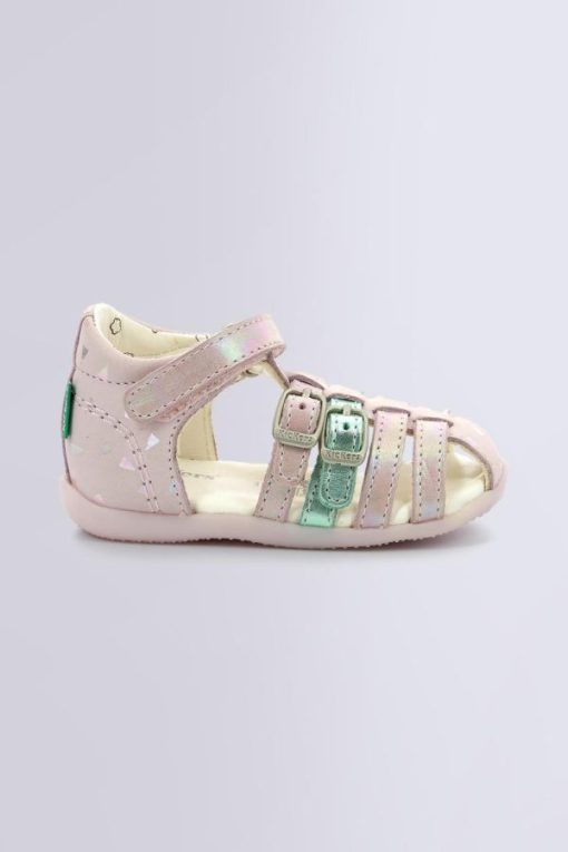 Ordercraze.shopa08b4f5d98 2