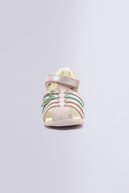 Ordercraze.shopa08b4f5d98 4