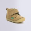 Ordercraze.shopa31808a580 1