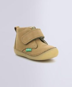 Ordercraze.shopa31808a580 1