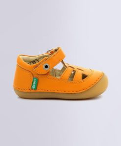 Ordercraze.shopa53db0b8c2 1