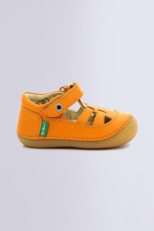 Ordercraze.shopa53db0b8c2 1
