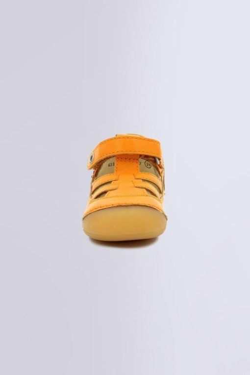 Ordercraze.shopa53db0b8c2 3