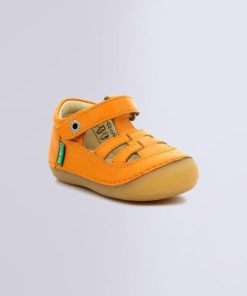 Ordercraze.shopa53db0b8c2 4