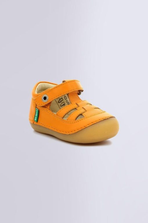 Ordercraze.shopa53db0b8c2 4