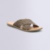 Ordercraze.shopa6b56fa962 1