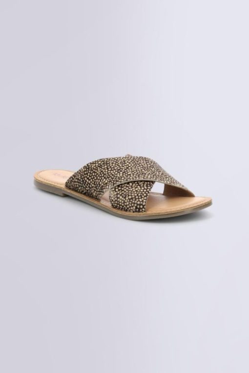 Ordercraze.shopa6b56fa962 1