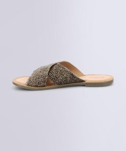 Ordercraze.shopa6b56fa962 3