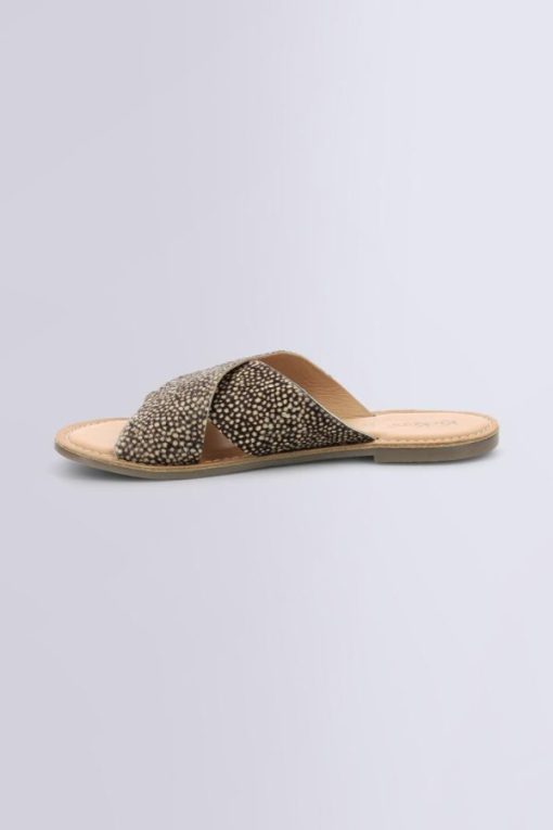 Ordercraze.shopa6b56fa962 3