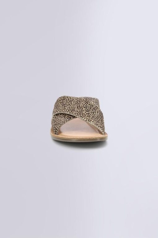 Ordercraze.shopa6b56fa962 4