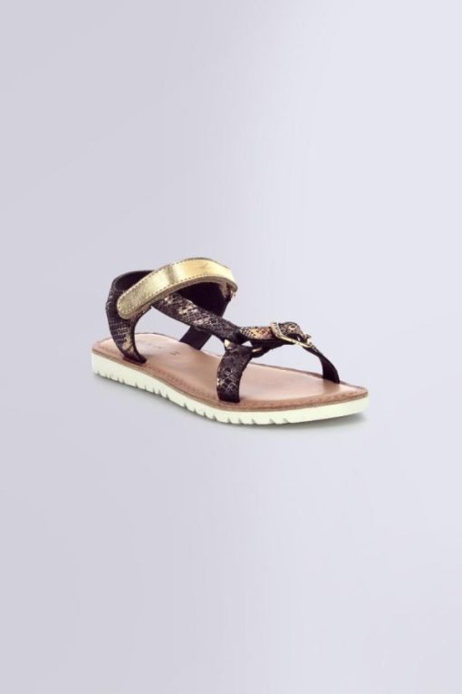 Ordercraze.shopa8f6426210 1