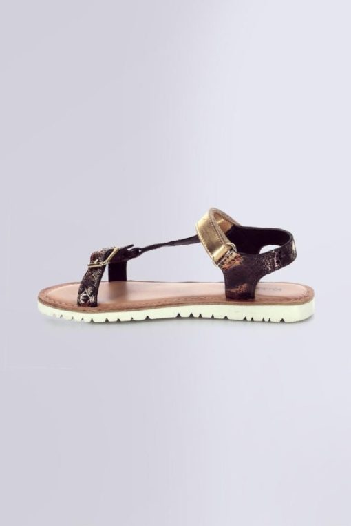 Ordercraze.shopa8f6426210 3