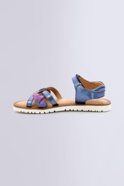 Ordercraze.shopa9d4572409 3