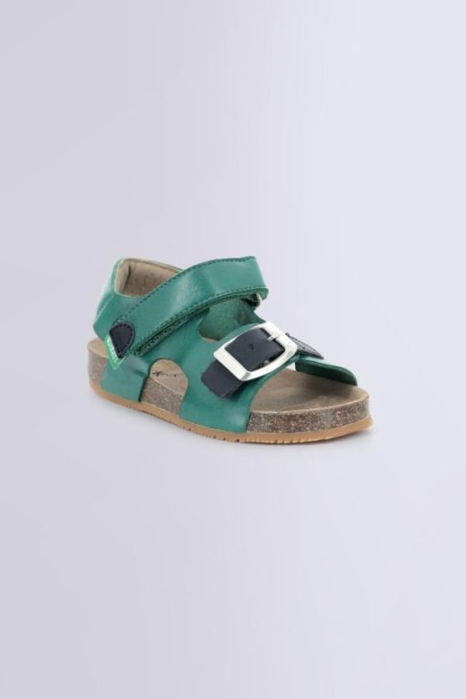 Ordercraze.shopacef734ee7 1