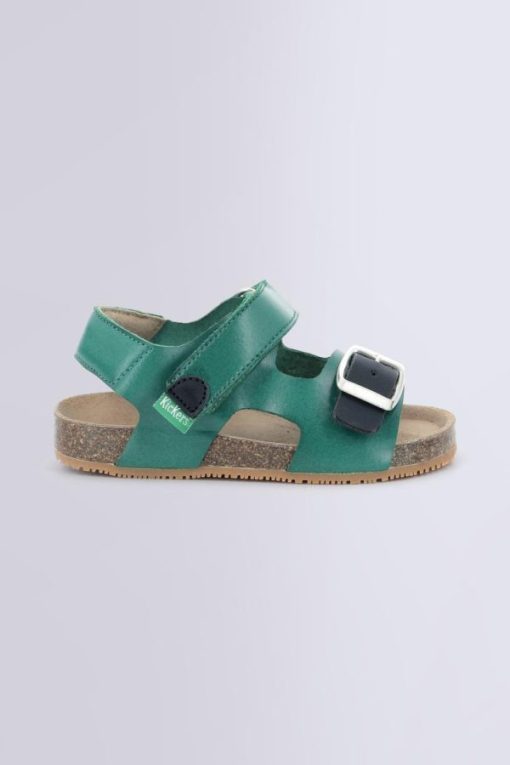 Ordercraze.shopacef734ee7 2