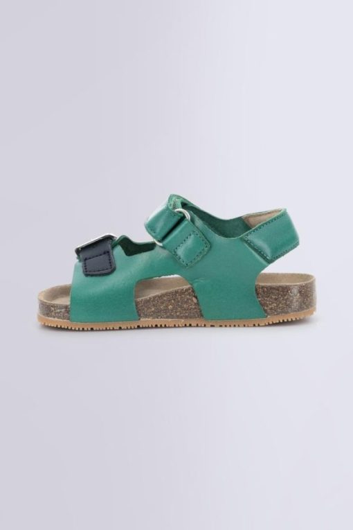 Ordercraze.shopacef734ee7 3