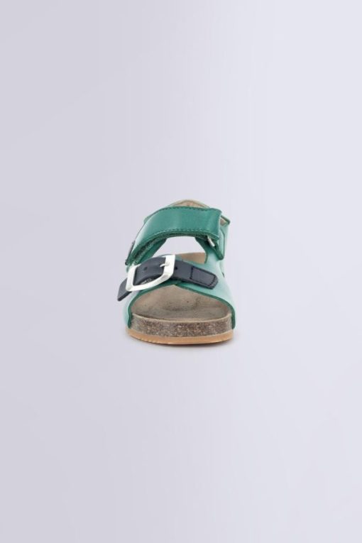 Ordercraze.shopacef734ee7 4