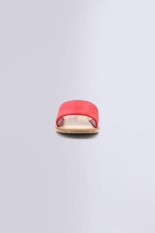 Ordercraze.shopaebd8e8982 4
