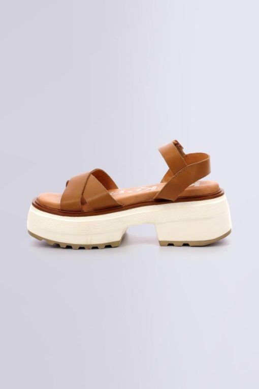 Ordercraze.shopaf02e84058 3