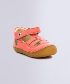 Ordercraze.shopaf9451307a 1
