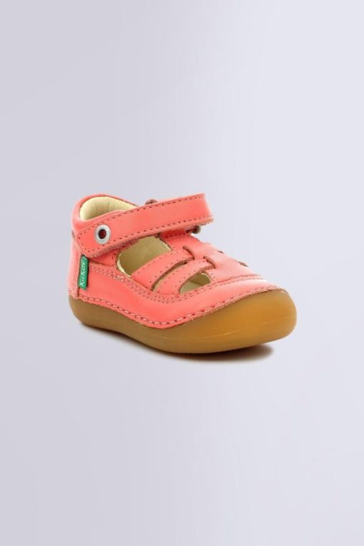 Ordercraze.shopaf9451307a 1