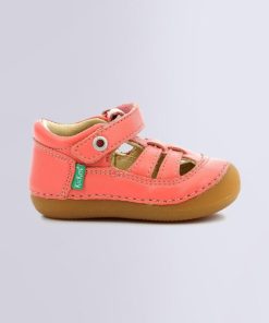 Ordercraze.shopaf9451307a 2