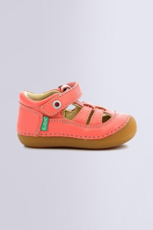 Ordercraze.shopaf9451307a 2