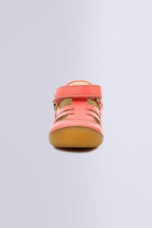 Ordercraze.shopaf9451307a 4