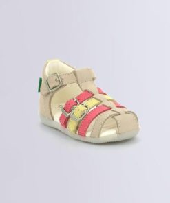 Ordercraze.shopb120ad71b8 1