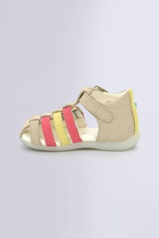 Ordercraze.shopb120ad71b8 3