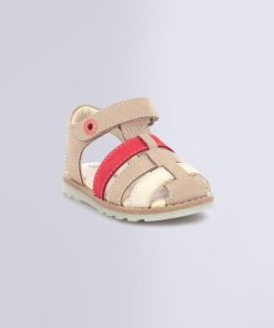 Ordercraze.shopb227b8f777 1