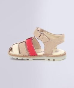 Ordercraze.shopb227b8f777 3