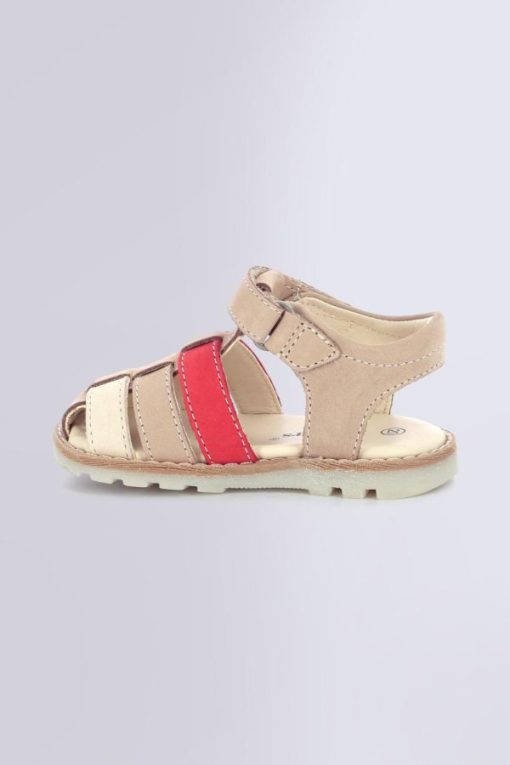 Ordercraze.shopb227b8f777 3
