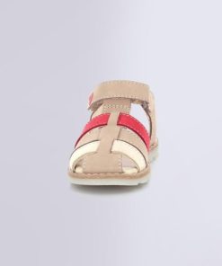 Ordercraze.shopb227b8f777 4