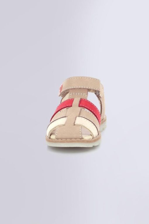 Ordercraze.shopb227b8f777 4