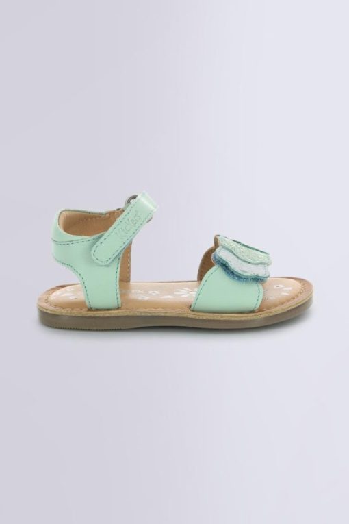 Ordercraze.shopb379aa6efa 2