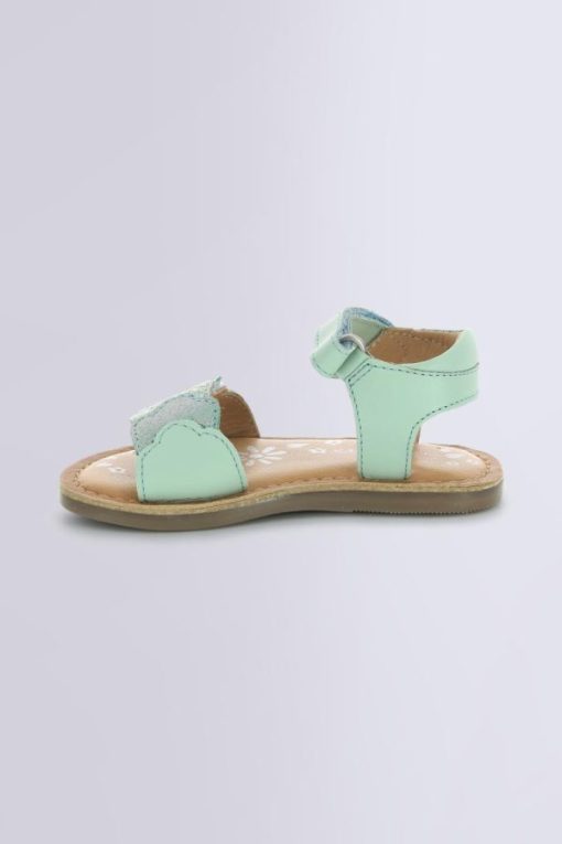 Ordercraze.shopb379aa6efa 3